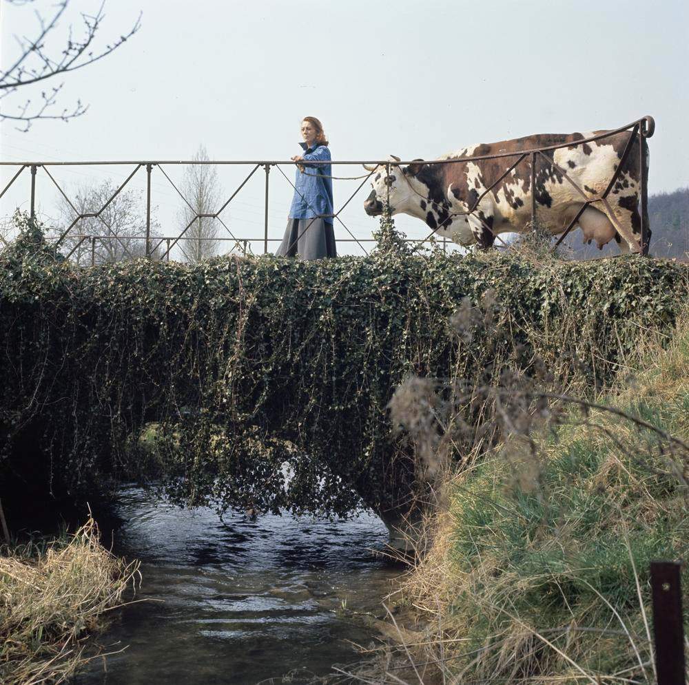 Boerin in Frankrijk